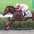 【中山６Ｒ・２歳新馬】ルメール騎手が思わず口笛を吹くほどの強さ！　５馬身差Ｖのユウライクスターでこの日４勝目！