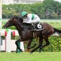 【野路菊Ｓ】歴代最速の末脚の持ち主ジーティーサクラ不発...単勝１・２倍の人気馬を連闘のブラッドバローズが撃破