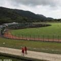 【広島好き】育成出身選手が躍進するカープ。次の支配下候補を調べてみた