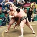 西幕下筆頭の旭富士、デビュー５場所連続で勝ち越し王手　史上最速タイ所要６場所での新十両間近