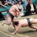 幕下・大花竜、軍配差し違えで２勝目「ぎりぎりでした」　右肩のテーピングも施さず、関取復帰へ気合