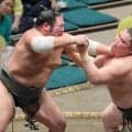 横綱のしこ名を継ぐ旭富士、勝ち越し王手　史上最速タイの十両昇進目指す
