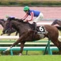 【カンナＳ】ビッグアーサー産駒が上位独占！　ジオパークカツキで横山武史騎手は今年オープン初勝利「これからの馬」