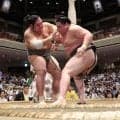 “史上最強の新弟子”旭富士が勝ち越し王手！最速タイの新十両記録へ前進【大相撲】