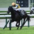 【阪神10R】単勝オッズ248.9倍のビーアイフォルテがV 3連単425万820円の波乱