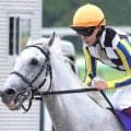 【注目馬動向】ガイアフォースはマイルＣＳに直行へ　杉山晴調教師「リフレッシュされています」