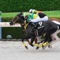 【阪神１１Ｒ・大阪スポーツ杯】リサシテーションが末脚伸ばして接戦を制す　菱田裕二騎手「切れる脚を使ってくれた」