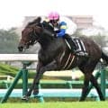 【九十九里特別】キンググローリーが丹内祐次騎手の鮮やかな手綱さばきで勝利　目標の菊花賞へ弾み