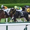 【JRA・WIN5】2、5レース目の大波乱で的中ゼロ！ 2億6716万3960円のキャリーオーバー！