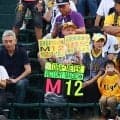 【阪神】レギュラー不在の変則シートノック実施　不規則な風の中でフライノック重点的に