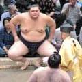 大の里が６勝目で首位キープ　大関・琴桜を撃破し好調の美ノ海を下す