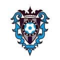 １０分間で３度のＶＡＲ　福岡ＤＦ上島拓巳が一発退場に　タックル受けた広島ＭＦ松本泰志は負傷交代