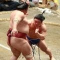 藤ノ川、初場所以来の３連勝「前に出られたのはよかった」最後まで攻めの姿勢を貫く