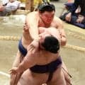 大の里の圧勝に国仲涼子「もうかなわないって感じ」高田川親方も「勝てる相手はいない」