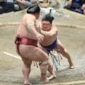 新関脇・藤ノ川が５勝目「引かなかったことが良かった」　右肘には厚いサポーターも「何ともないです」