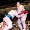 安青錦、熱海富士を破り４連敗回避「根性ある」八角理事長が評価　前まわし取って重い相手動かす