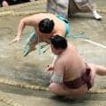 幕内・一山本が７日目にようやく初白星「めちゃくちゃ良かったですよ！　今年一、うれしい」　連敗中の心境も明かす