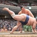 幕内・藤凌駕　初の大関戦で琴桜に敗れ「何も出来ずに終わった」「自分が弱い。それが原因」