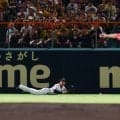【阪神】木浪聖也に続いて立石正広も…全く同じように風に流されて落球　読み切れない甲子園の風