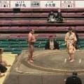 「うわ、親方が激おこだ」「何があった？」取組後、力士の所作に“ピシャリ”指導 「所作は大事」困惑と納得の声