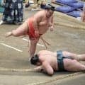 十両・嘉陽が無傷の７連勝　１５分前に起床しての場所入りも「もう少し寝たい。番付が下がっている分、場所入りが早くて…」