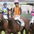 【２０日の注目・阪神３Ｒ】良血馬対決に惜しくも敗れた桜花賞馬の半妹が中１週で登場　高野調教師「使って良くなっています」