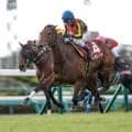 【今日の注目ポイント】中山で伝統のGII・オールカマー
