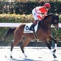 【２０日の注目・中山１０Ｒ】高須クリニック院長の所有馬が登場「ＹＥＳ！」「的中なう」馬券購入者に歓喜の声を上げさせられるか