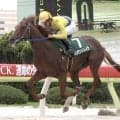 【２０日の注目・阪神１１Ｒ】“中央場所”で地方所属馬が２０年ぶりの勝利なるか　大井から参戦のハンデンドレイク