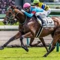 叔母は名牝アーモンドアイ エピックフライトが1年ぶり復帰戦で無傷連勝なるか