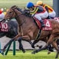 オールカマーは4歳馬が近10回で6勝 1枠も連対率50％