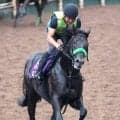 【神戸新聞杯・日曜気配】２冠馬ロブチェンはリズムよく最終調整　杉山晴調教師は最内枠に「昨日ジョッキーに聞くと…」