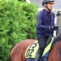 【注目馬動向】単勝１・２倍の野路菊Ｓでまさかの３着…ジーティーサクラは放牧へ　吉岡調教師「競馬場での気持ちの乗りが…」