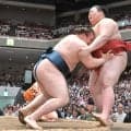 【８日目の見所】熱海富士は気持ちの切り替えが大事　琴栄峰の素早い動きを警戒すると前に出る圧力が鈍る