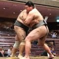 元ラグビーＵ-２０日本代表・天岳富士、森麗の熟練の所作に緊張も２連勝「もっと相撲の内容に集中できるようにしていきたい」