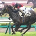 【中山３Ｒ】ルメール騎手が止まらん！早くも今週７勝目のサウンズオーサムに「終始、手応えが良かった」と笑顔