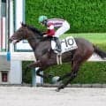 【阪神４Ｒ】１番人気フィリップヴィルが逃げ切りデビューＶ　岩田望来騎手は２Ｒから３連勝「追ってからの反応も良かった」