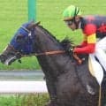 「驚愕」「２歳馬が出していいん？」中山で飛び出した衝撃のレコードタイムにＳＮＳ騒然　１Ｒウィンターブリーズ