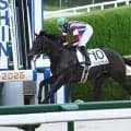 【阪神4R新馬戦結果】フォーウィールドライブ産駒フィリップヴィルが4馬身差で圧勝