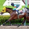 【中山４Ｒ】岩田康誠騎手がお得意の“イン突き”でマートングレイスを新馬Ｖに導く　「狭いところも関係なく」