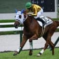 【阪神5R新馬戦結果】レイデオロ産駒ミランダスマイルがV 祖母はダイワスカーレット