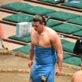 父はハワイ出身の元十両、砂武蔵がハワイ愛満載化粧まわしで新序出世披露「父も喜んでいる。頑張ります」【大相撲】