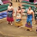 体重５０キロ台力士で注目の新道が新序出世披露「もっと有名になります」九州場所で序ノ口デビュー【大相撲】