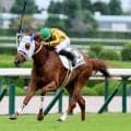 【阪神５Ｒ】岩田望来騎手が騎乗機会４連勝！　ミランダスマイルで直線抜け出す　「初戦としてはいい内容でした」