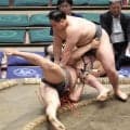三田、軍配差し違えで“イケメン力士”大森破り３勝目「勝ったと思いました」土俵際も慌てず