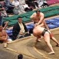 大相撲で女性ファンの大声援が飛び交う　異質雰囲気の男前対決　三田が大森を下す【大相撲】