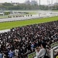 ９月２１日の中山競馬は開催中止　代替競馬は２２日に　台風２５号接近の影響を考慮