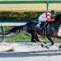【浦和・オーバルスプリント枠順】ダノンフィーゴは1枠1番、インユアパレスは3枠3番