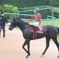 【オールカマー】コスモキュランダは見せ場もなく１１着大敗　横山武史騎手「こんな馬じゃないんですけど…」