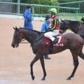 【オールカマー】レガレイラ重馬場で差し届かず４着　戸崎圭太騎手も「改めて緩い馬場が...」と無念の結果に